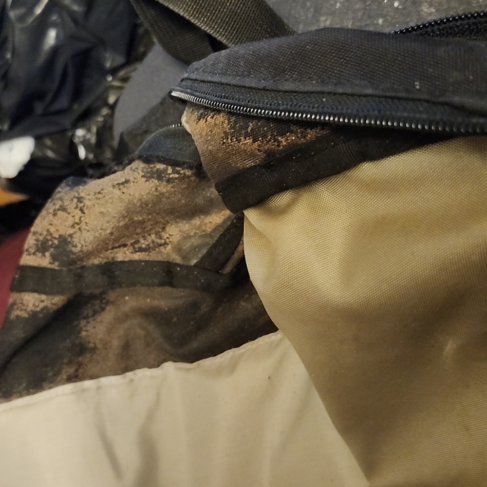 Back pack - Picture 2 of 3